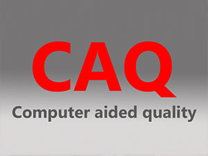 Logo CAQ-System